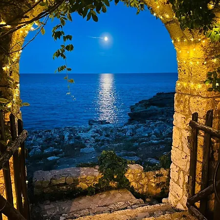 L'ancora * 안드라노