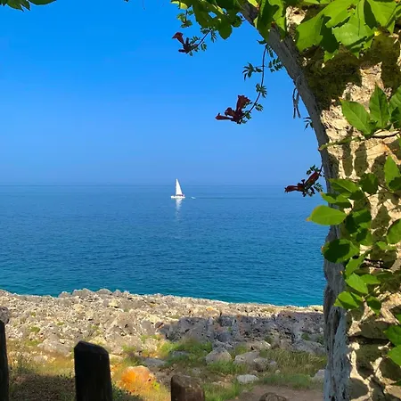 L'ancora